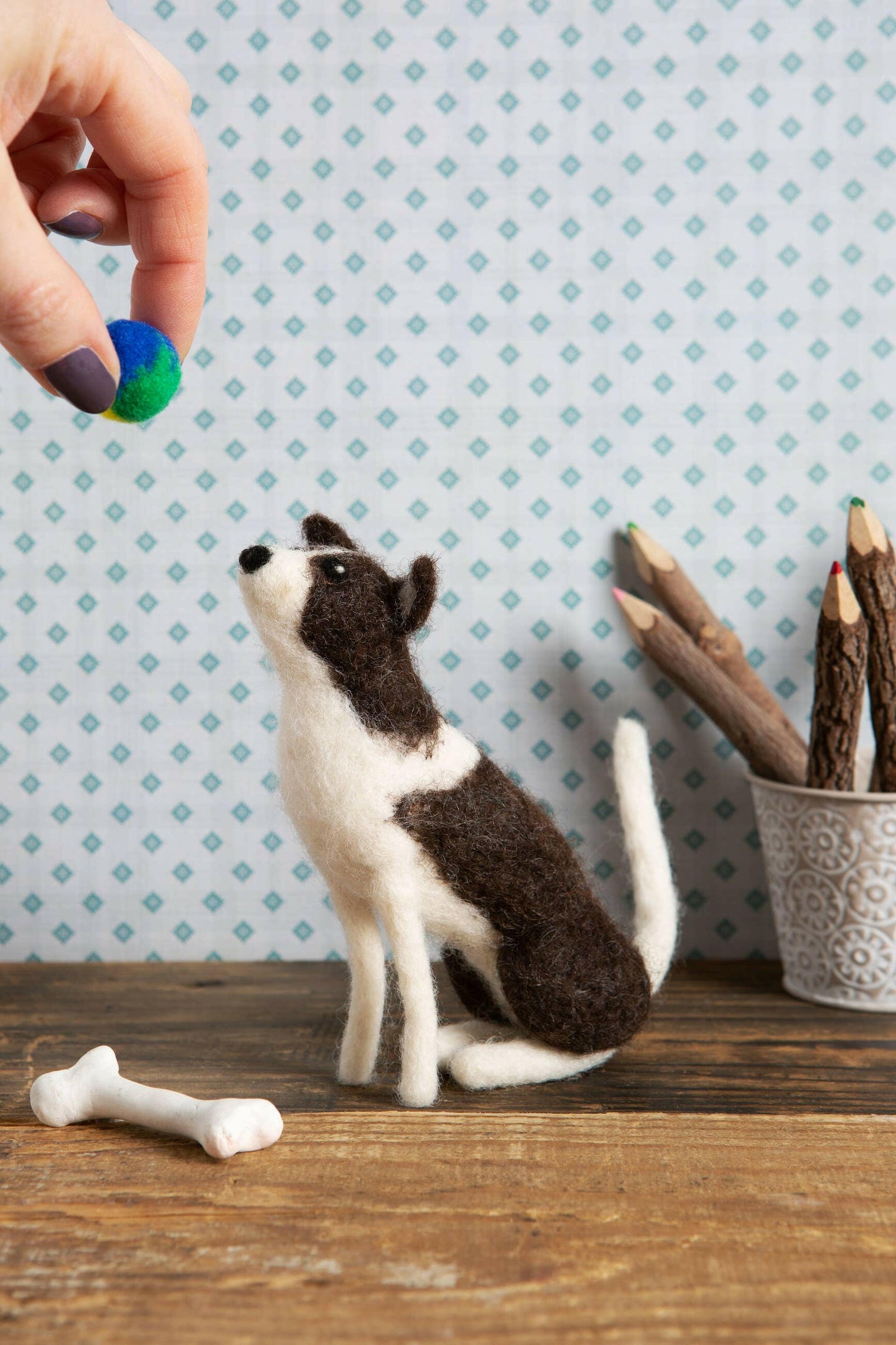 Border Collie Needle Felting Kit.