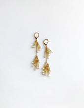 Load image into Gallery viewer, Double Long Gold Fringe Beaded Earrings
