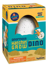 Load image into Gallery viewer, Ginormous Grow Dino Egg, Just Add Water.
