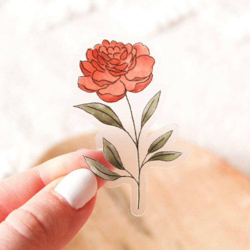 Clear Ranunculus Sticker 1.48x2.3 in..