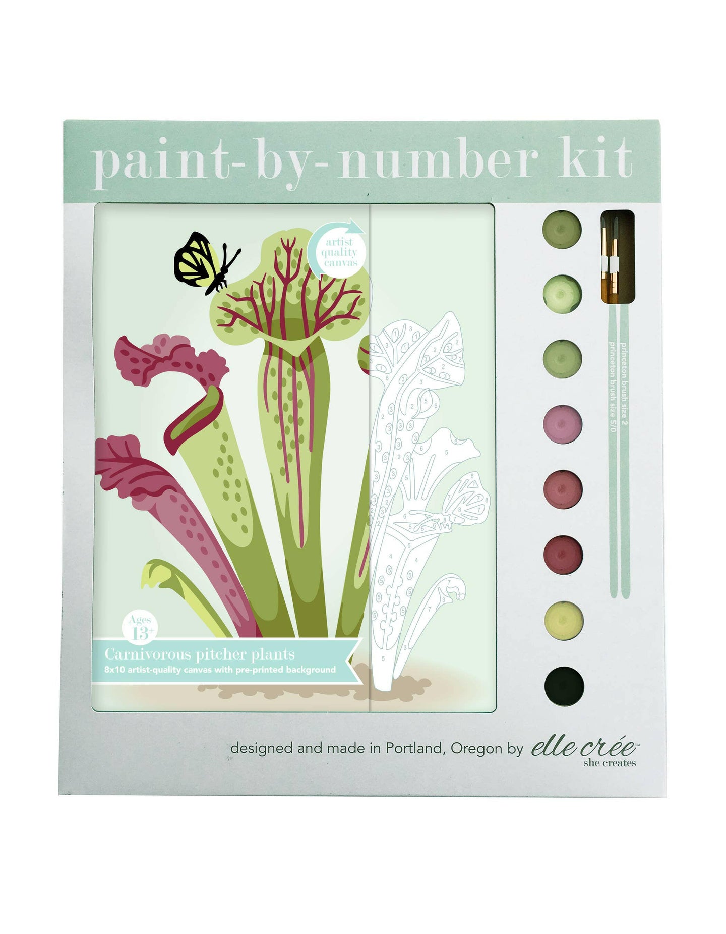 Carnivorous Pitcher Plants Paint-by-Number Kit.