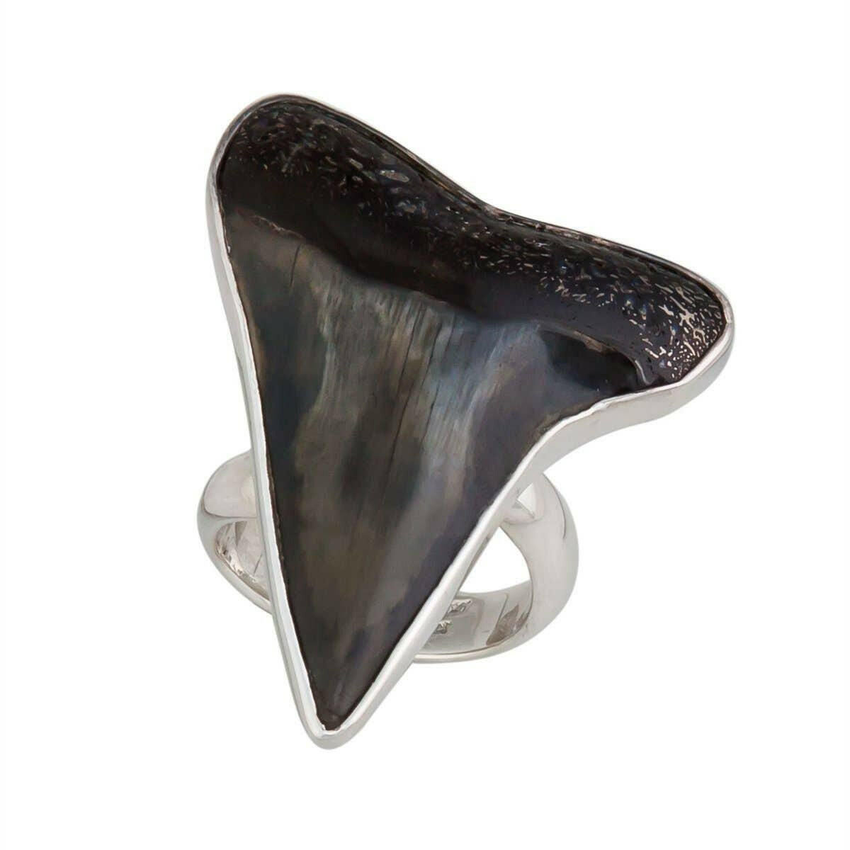 Sterling Silver Fossil Shark Tooth Adjustable Ring.