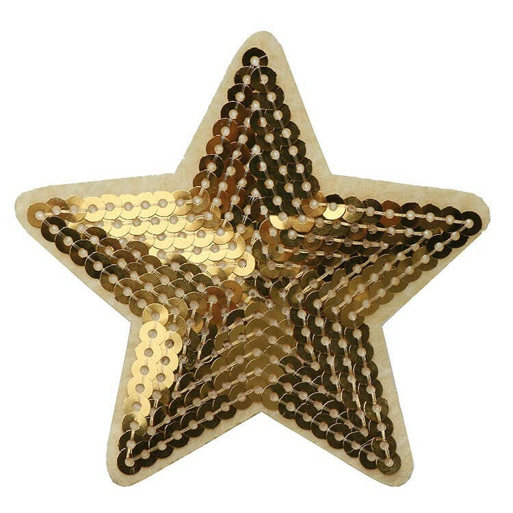 Sequin Star Clip.