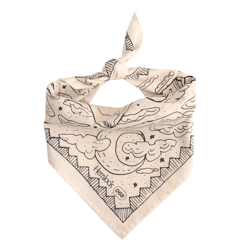 Desert Bandana.