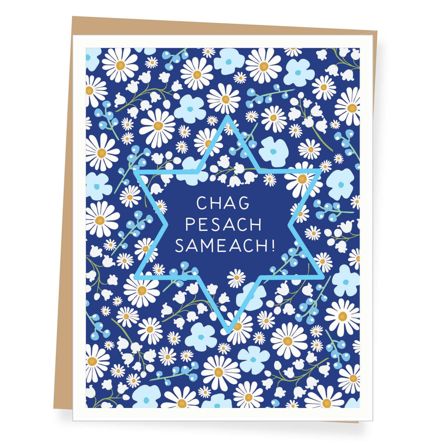 Chag Pesach Sameach Passover Card.