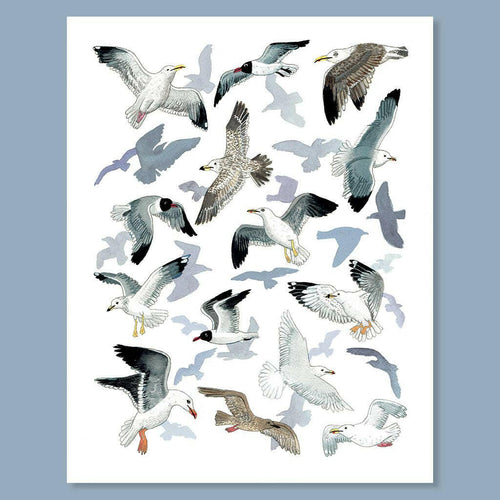 Seagull Sanctuary Print.