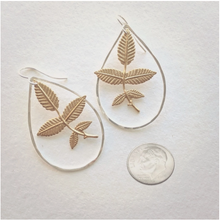 Load image into Gallery viewer, Foliage Earrings • Sterling Silver.
