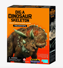 Load image into Gallery viewer, 4M Dig A Dino Series I, Assortment, 3 Styles
