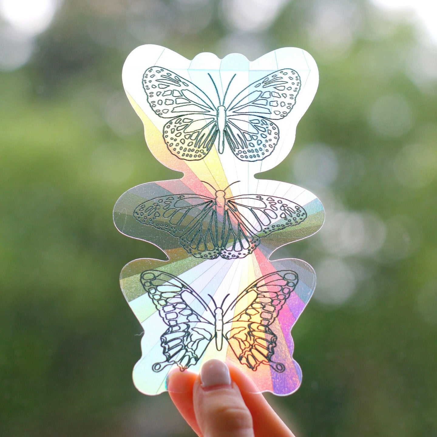 Butterflies Sun Catcher Window Decal, 5x3 in..