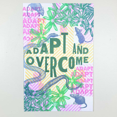 Adapt and Overcome.