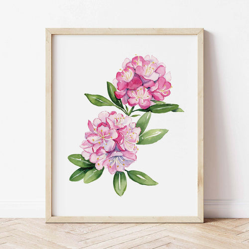 Pink Rhododendron Art Print.