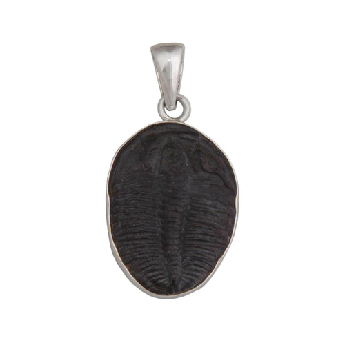 Sterling Silver Trilobite Pendant.