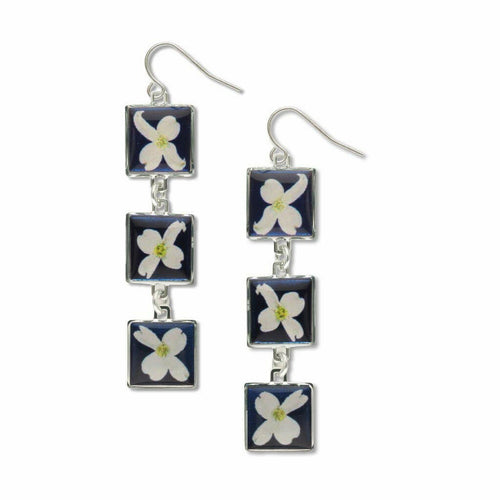 Flowering Dogwood In Bloom - Giclee Print - Domed.